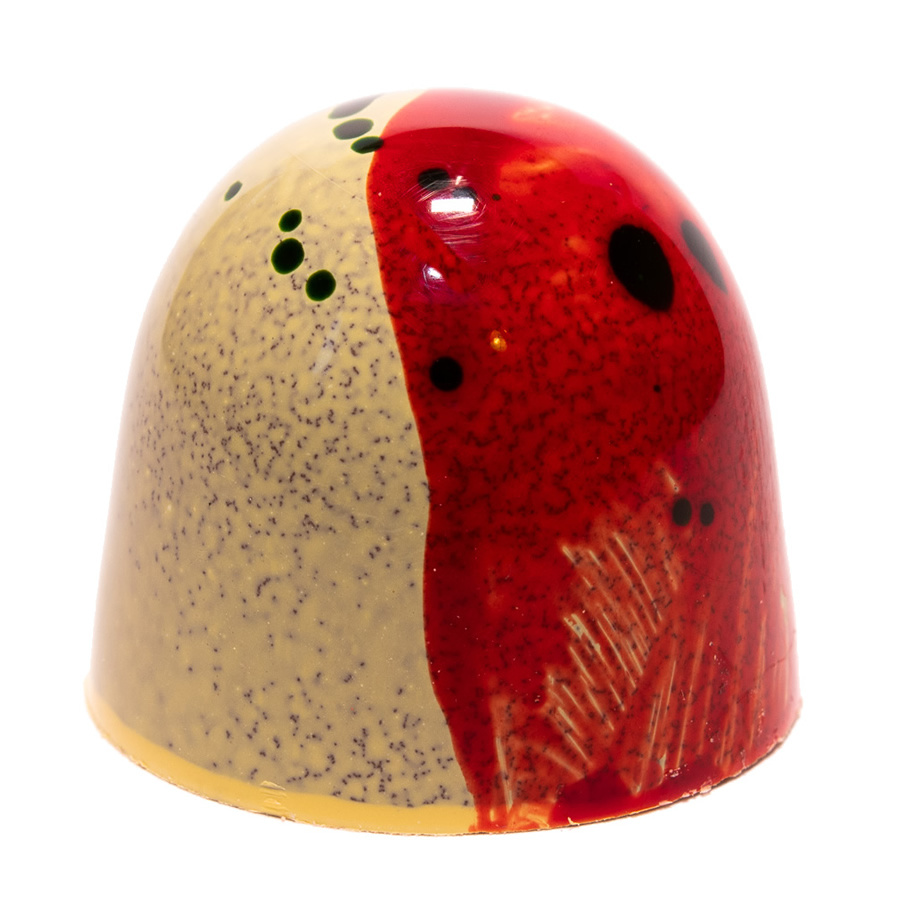 Apfelpralinen | Chocowerk